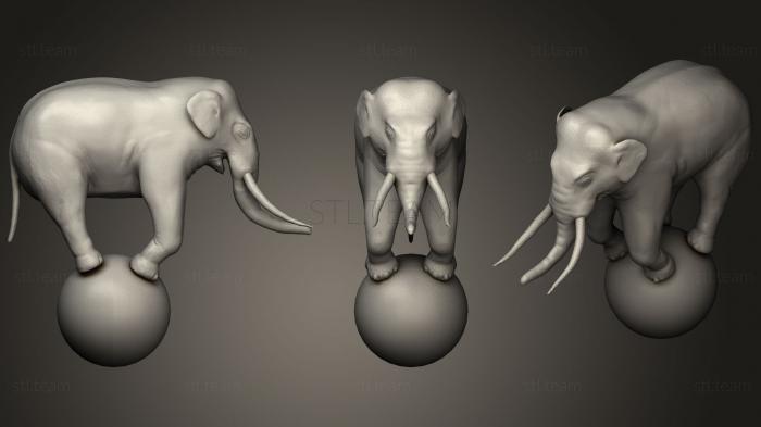 3D модель Цирковой слон (STL)